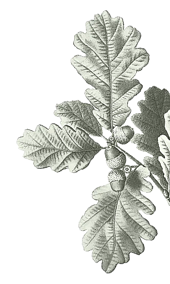 Screenshot 2026 02 25 at 11 37 07 AM