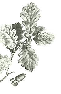 Screenshot 2026 02 25 at 1 09 23 PM