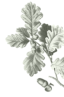 Screenshot 2026 02 25 at 1 07 45 PM